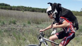 VIDEO: Ciclistas rescataron a un perro y lo llevaron en bicicleta VIDEO: Ciclistas rescataron a un perro y lo llevaron en bicicleta