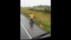 Imputan a un hombre por arrastrar a un perro por la ruta con su moto Imputan a un hombre por arrastrar a un perro por la ruta con su moto