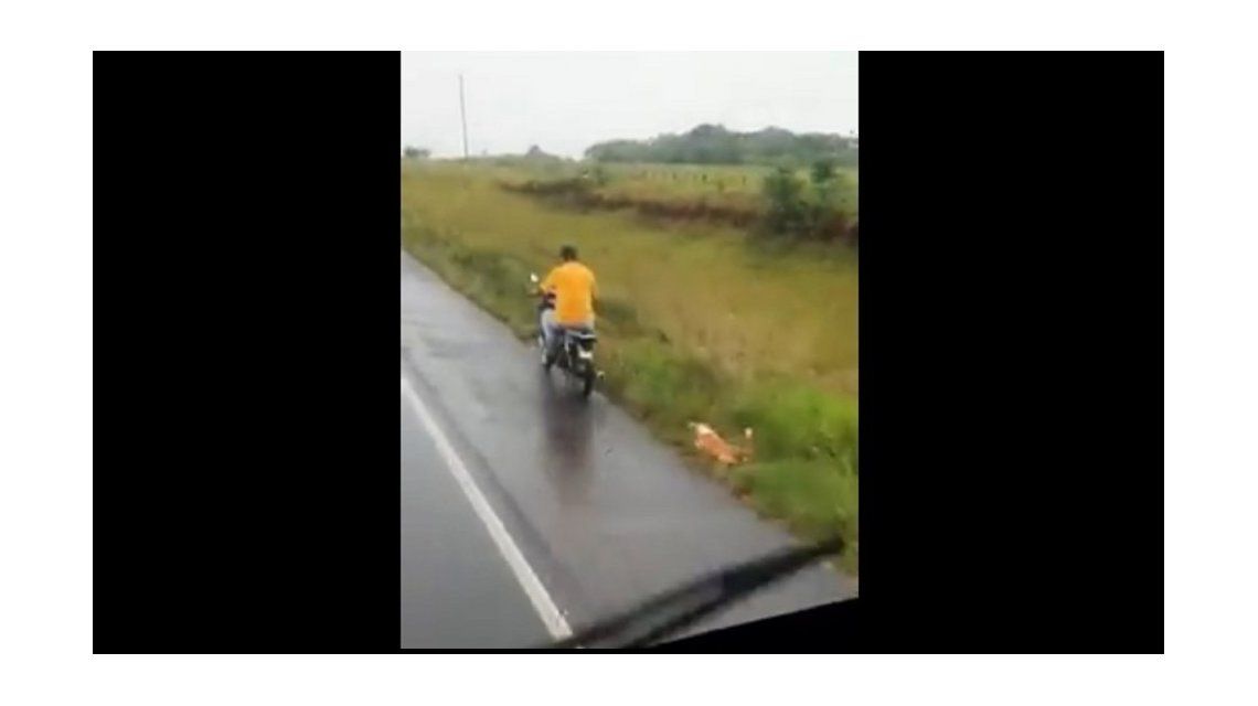 Imputan a un hombre por arrastrar a un perro por la ruta con su moto