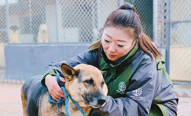 Foto: Humane Society International