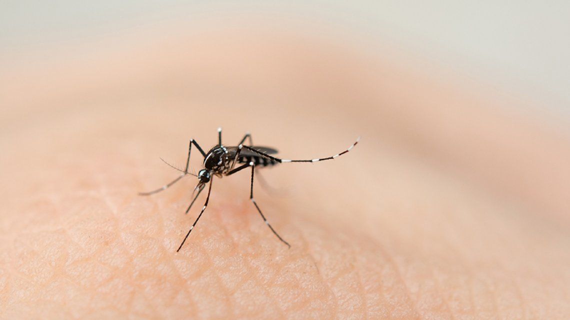 Se multiplican los casos de dengue en todo el país