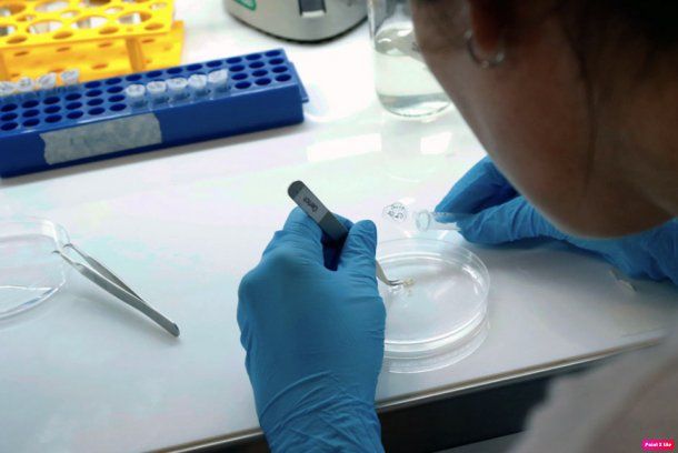 Rusia asegura que podría tener una cura para el coronavirus en los próximos meses