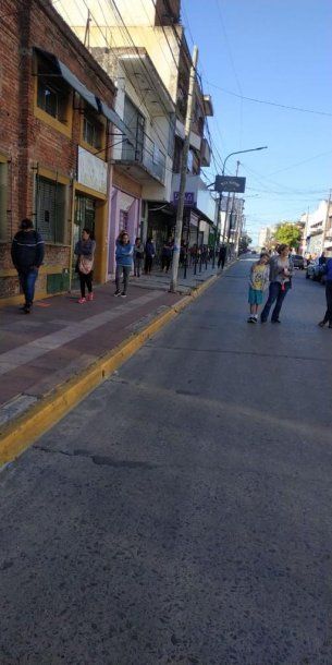 Las hileras fueron organizadas con un metro de distancia 