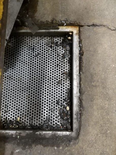 "Gusanos en la rejilla de desagüe", sostiene la Municipalidad