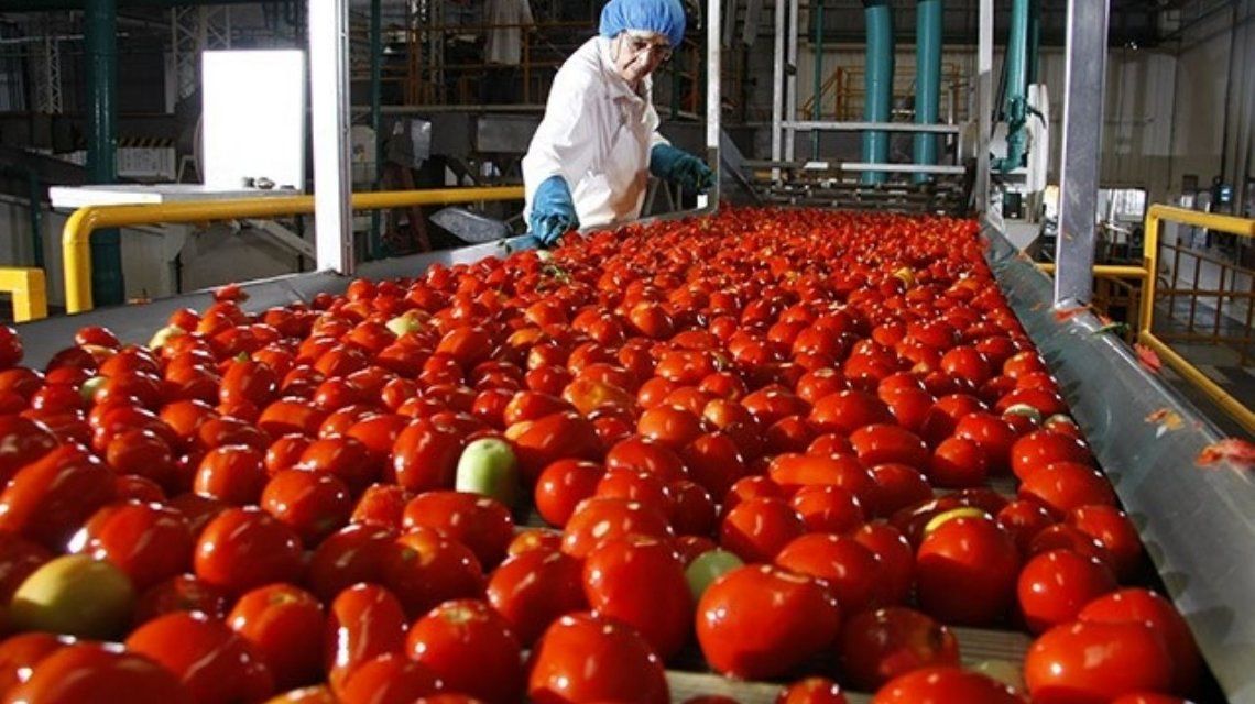 Presunta rata en puré de tomate: la empresa dice que no existe posibilidad alguna