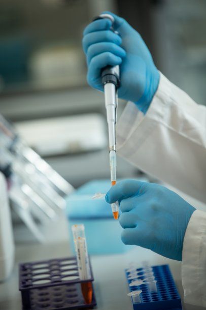 La Anmat aprobó ensayos clínicos con suero de caballos en pacientes con coronavirus