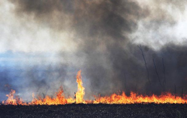 Rosario: Continúan combatiendo contra focos de incendio en islas del Delta del Paraná, a la altura del km10 de la ruta Rosario-Victoria
