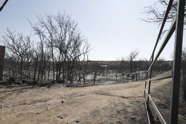 Incendios: desoladora imagen de C&oacute;rdoba&nbsp;tras ser arrasada por el fuego