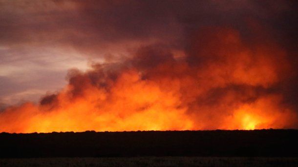 Incendios forestales en la Reserva Ecológica de Corrientes