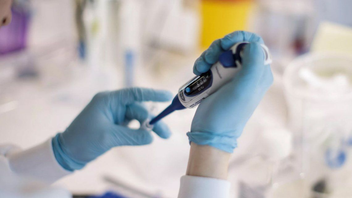 Vacuna contra el coronavirus: Pfizer pedirá autorización para su uso en noviembre Vacuna contra el coronavirus: Pfizer pedirá autorización para su uso en noviembre