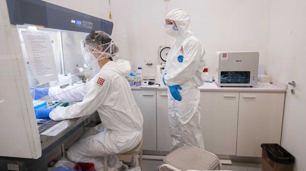 Los científicos examinaron más de 5.000 genomas del coronavirus