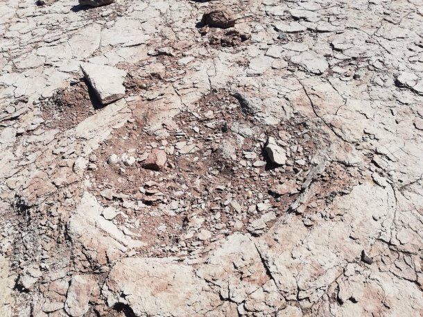 Prefectura encontró huellas de dinosaurios en Neuquén - @PrefecturaNaval