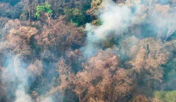 Incendios forestales arrasan con la parte selvática del NOA