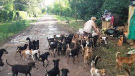 Rescataron a 120 perros de Berazategui y sus dueñas recibirán ayuda psicológica Rescataron a 120 perros de Berazategui y sus dueñas recibirán ayuda psicológica