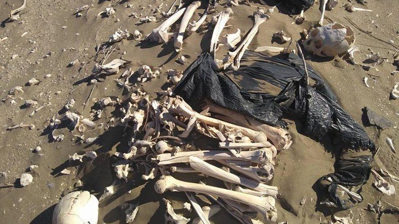 Los restos óseos llamaron la atención y desde el CENPAT salieron a aclarar que ya los habían relevado y que pertenecen a pobladores tehuelches. Los restos óseos llamaron la atención y desde el CENPAT salieron a aclarar que ya los habían relevado y que pertenecen a pobladores tehuelches.