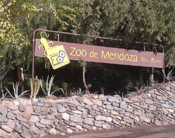 Muertes en el zoo se podrían haber evitado