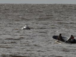 ballena en puerto madero: retoman el operativo para llevarla a aguas abiertas ballena en puerto madero: retoman el operativo para llevarla a aguas abiertas