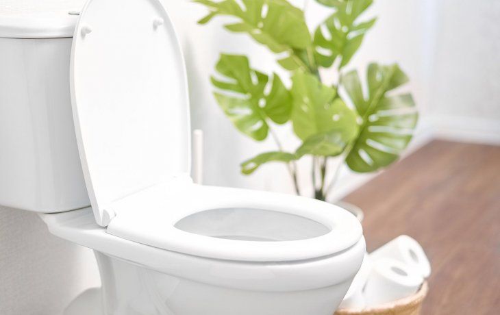 Por qué hay que cerrar la tapa del inodoro después de cada uso