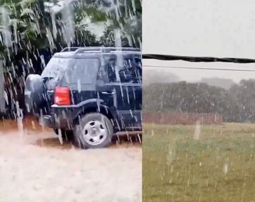 Histórica caída de nieve en Mar del Plata: en qué barrios y los impactantes videos