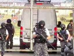 el abogado de los monos: el traslado fue un capricho el abogado de los monos: el traslado fue un capricho