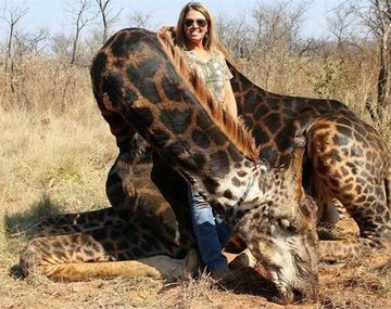 Cazó una jirafa negra y lo festejó en las redes sociales