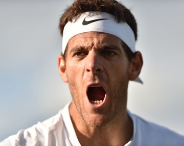 Se calentó La Torre: mirá el fuerte cruce verbal entre Del Potro y Pouille
