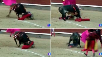 La terrible corneada que sufrió un torero en Madrid La terrible corneada que sufrió un torero en Madrid