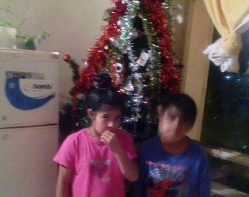 Un nene pidió un árbol de Navidad por Facebook.