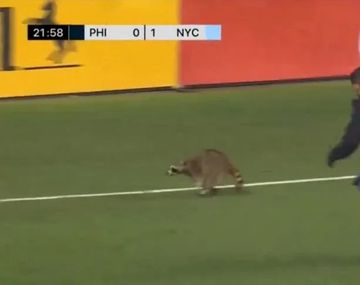 Insólito momento en la MLS: partido demorado por la invasión de un mapache