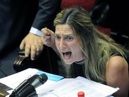 Crece la interna: La Libertad Avanza y el PRO, cruzados por la diversidad