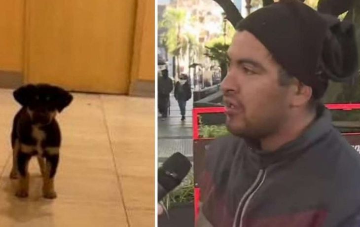 El indigente Agustín pidió que le devuelvan su perro robado en Recoleta: Estoy muy triste por esto