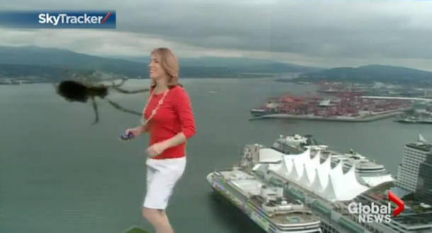 VIDEO: Da el clima, ve una araña en pantalla gigante y se pega el susto de su vida