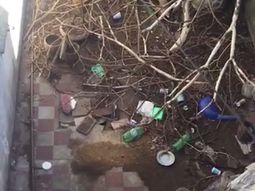 Pánico en La Plata por un vecino que tiene un basural en su casa y alimenta ratas