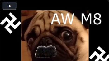 lo arrestaron por ensenarle a su perro pug a hacer el saludo nazi lo arrestaron por ensenarle a su perro pug a hacer el saludo nazi