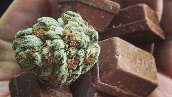 vendian huevos de pascua con figuras de marihuana, balas y calaveras en palermo vendian huevos de pascua con figuras de marihuana, balas y calaveras en palermo