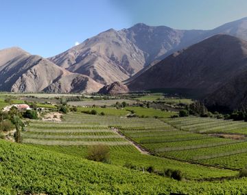 Pisco Elqui destaca por sus terapias alternativas.&nbsp;