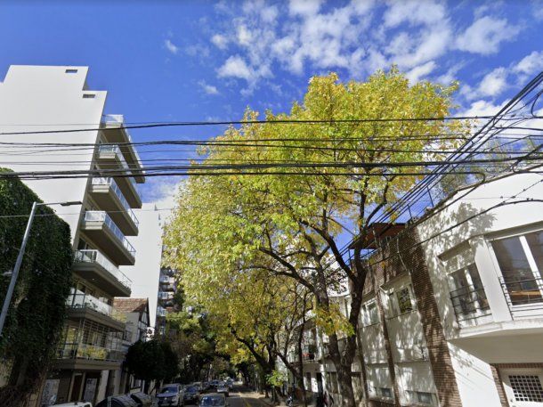 Robaron cuatro departamentos en un edificio de Palermo: se enteraron por WhatsApp