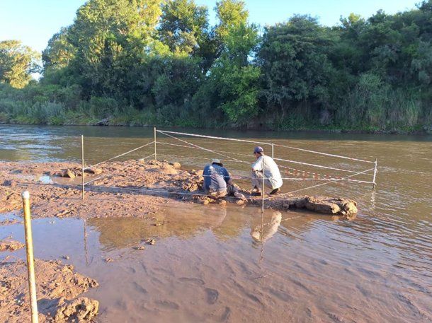 Córdoba: los restos de un gliptodonte fueron descubiertos por una joven en un río