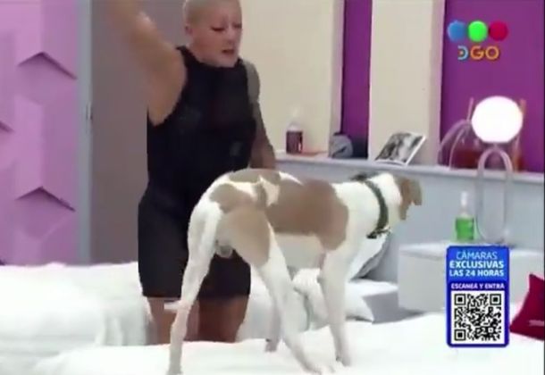 La violenta reacción de Furia con Arturo, el perro de Gran Hermano