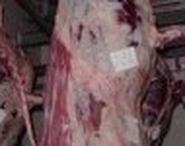 Carne