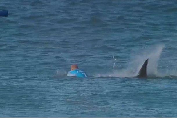 VIDEO: Mirá el feroz ataque de un tiburón a famoso surfista en una competencia