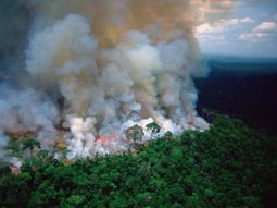 Impactantes imágenes de la NASA: así se ve el devastador incendio en el Amazonas