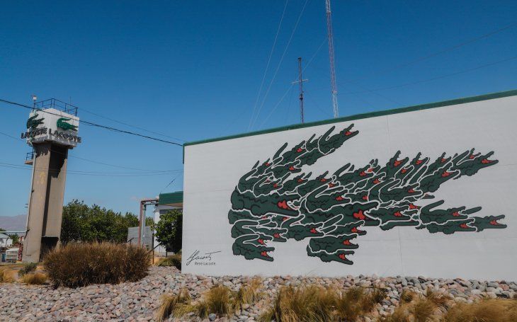 Alberto Fernández: Cuando uno mira para atrás, hicimos todo lo que estuvo a nuestro alcance