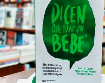 Dicen que tuve un bebé:  historias de mujeres criminalizadas por abortar