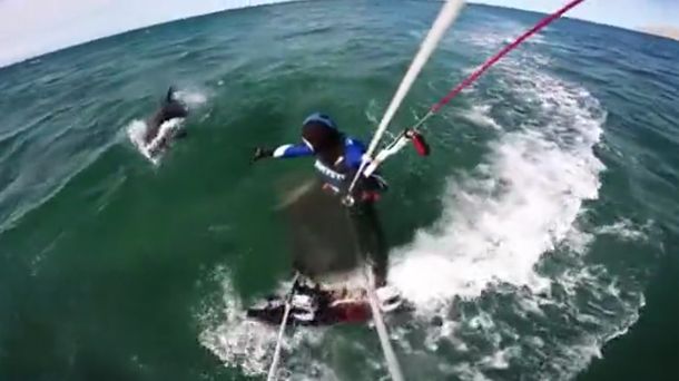 VIDEO: lo acompañó una pareja de delfines