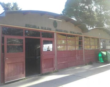 Tiró una bomba de gas pimienta en el inodoro e intoxicó a todo el colegio