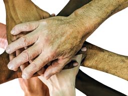 La ONU felicitó la labor de la Argentina en la protección de los derechos humanos