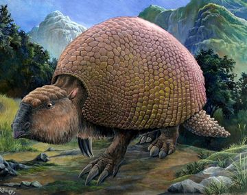 Encuentran restos de gliptodonte de 40 mil años