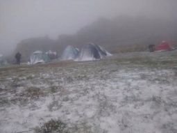 @peomenossi @peomenossi