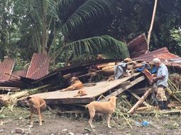 Anciano se negó a dejar sus perros por el huracán Otto